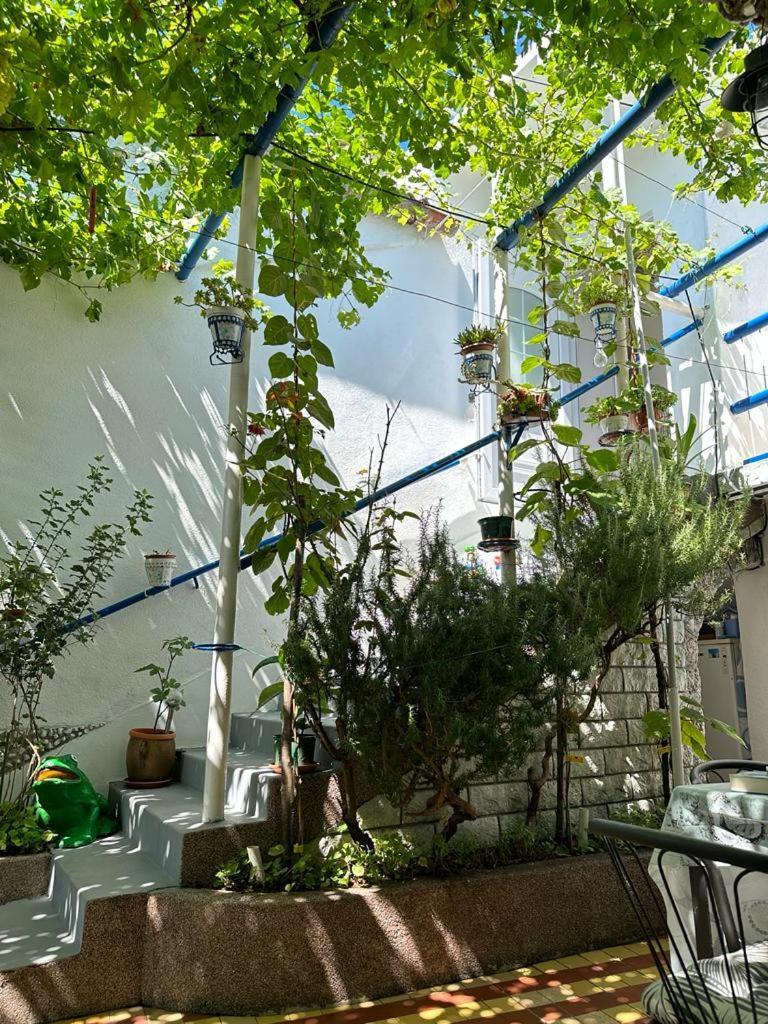 Vila Katica Bribir  Exteriör bild